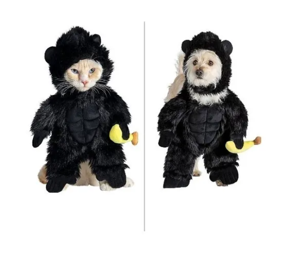 Screenshot_3-98.png Disfraz De Para Perro/gato De Gorila - Imagen 3