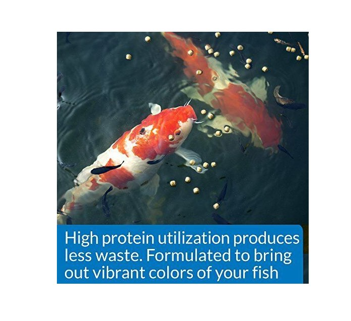 Screenshot_4-36-1.png Api Pond Cool Water Food KOI & GOLDFISH 11oz - Imagen 4