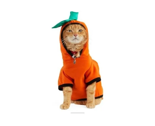 Screenshot_4-46.png Disfraz Calabaza Talla Xs Para Perro/gato Bootique - Imagen 3