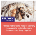 REFIL FELIWAY MULTICAT X 3 REPUESTOS - Imagen 4