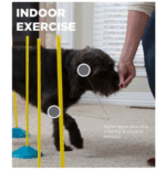 Zip & Zoom Indoor Dog Agility Training Kit para perros, multicolor - Imagen 4