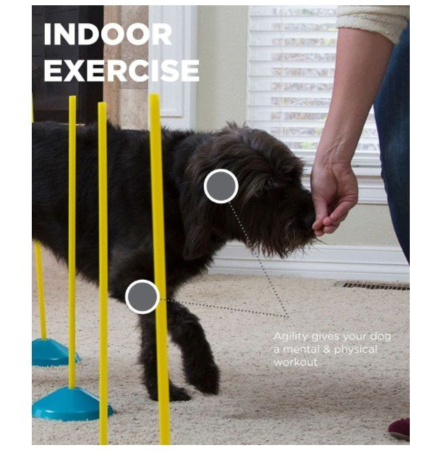Screenshot_4-69-1.png Zip & Zoom Indoor Dog Agility Training Kit para perros, multicolor - Imagen 4