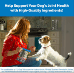 Cosequin DS Plus MSM para perros, 60 masticables blandos - Imagen 5