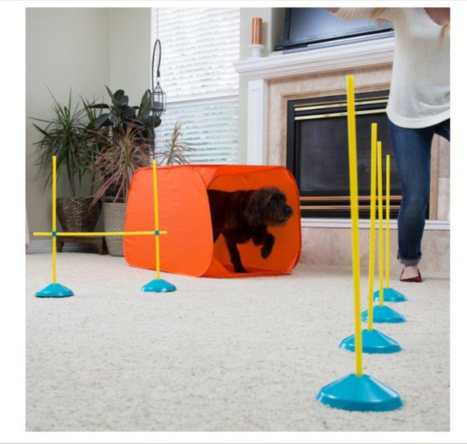 Screenshot_5-45.png Zip & Zoom Indoor Dog Agility Training Kit para perros, multicolor - Imagen 5