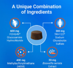Nutramax Cosequin DS Maximum Strength Plus MSM & Boswellia para Perros: Suplemento Articular Avanzado, 120 Masticables Blandos (Bolsa) - Imagen 5