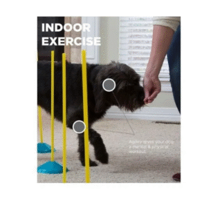 Training Kit Para Perros - Imagen 5