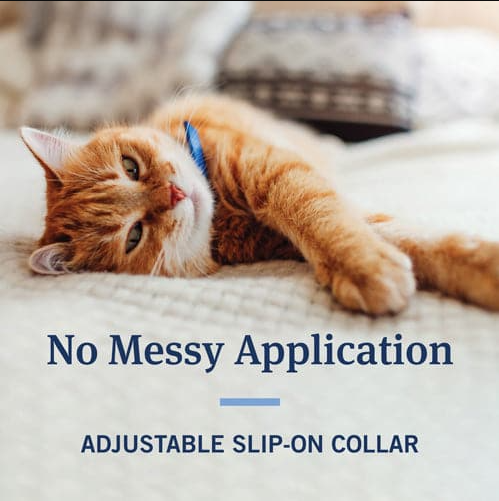 Screenshot_6-19-3.png PetArmor ® Collar contra pulgas y garrapatas para gatos - Imagen 4
