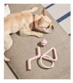 Toy Kit Para Mascostas - Imagen 6