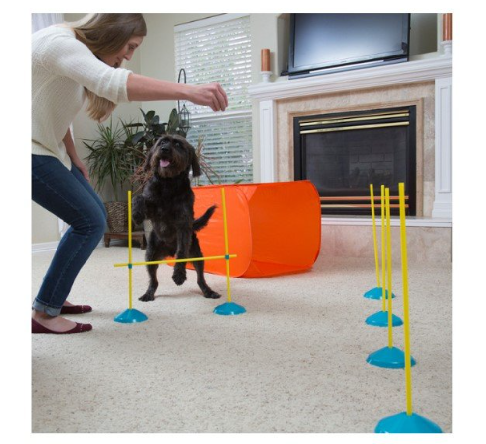 Screenshot_6-28.png Zip & Zoom Indoor Dog Agility Training Kit para perros, multicolor - Imagen 6