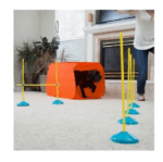 Training Kit Para Perros - Imagen 6