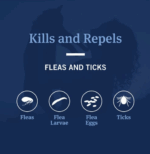 PetArmor ® Collar contra pulgas y garrapatas para gatos - Imagen 5
