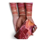 Paleta De Sombras Zion Hipdot - Imagen 2